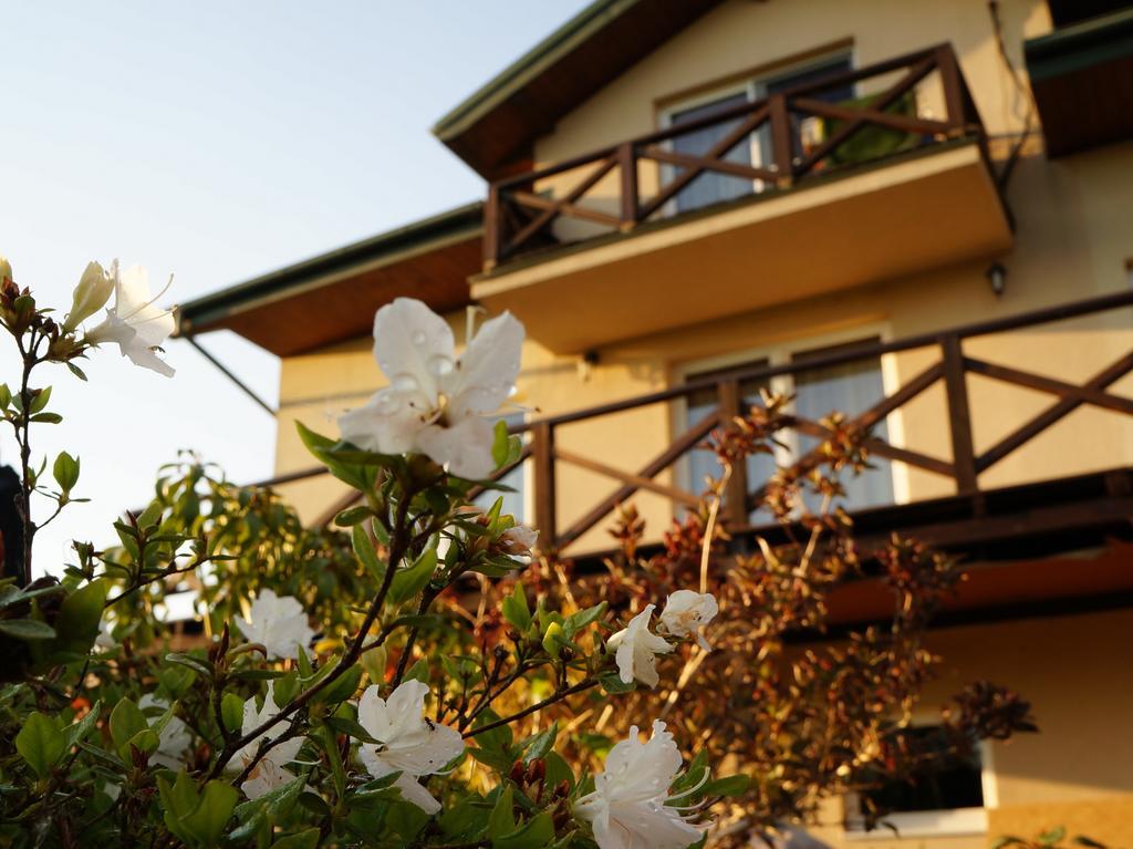 Anandaresort - Vegewakacje Władysławowo 외부 사진